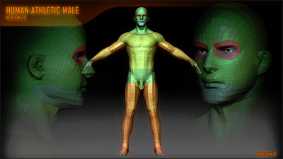 Human Male Athletic Version 2