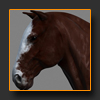 t_Horse.jpg